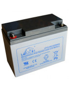 LEOCH AGM Batteries