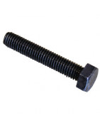 Bolts / Nuts