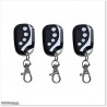 Quality and Most Reliable Low Voltage Double Swing Gate Opener.